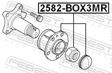 Ступица задняя Febest арт. 2582BOX3MR