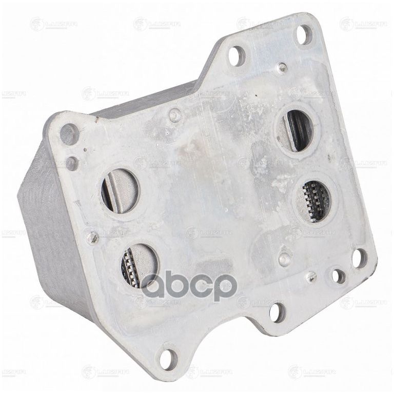 Радиатор масл. для а/м Ford Transit (06-)/(13-)/Peugeot Boxer (06-) 2.2TD (124*114.8*43мм) (L LUZAR арт. LOC1001