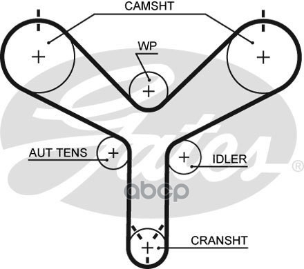 Ремень ГРМ Lexus GS/LS/SC / Toyota Land Cruiser Gates арт. T298
